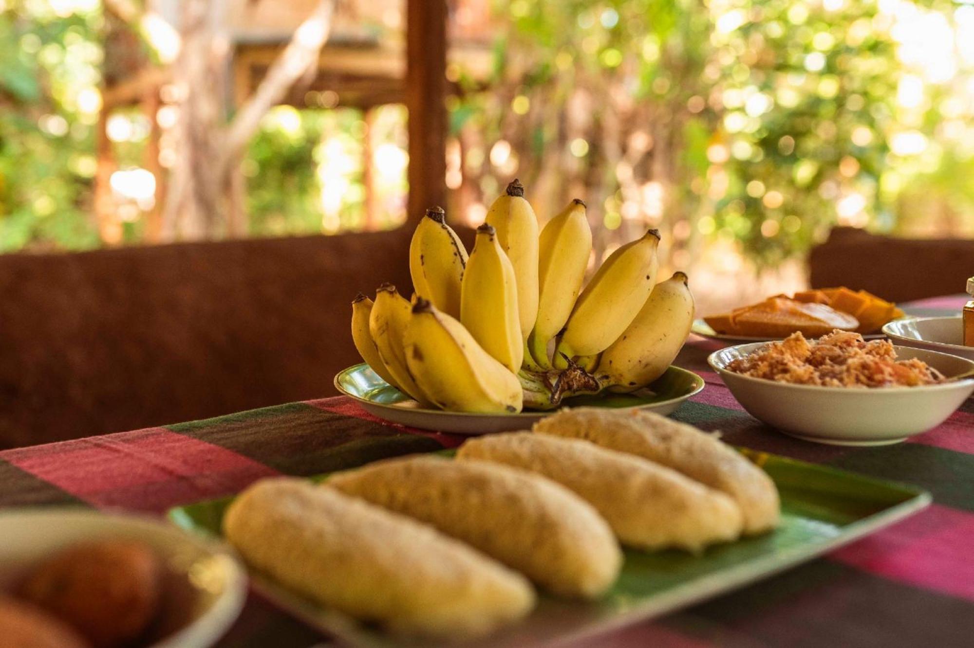 Sigiri Aliya Tree House Hotell Sigiriya Eksteriør bilde