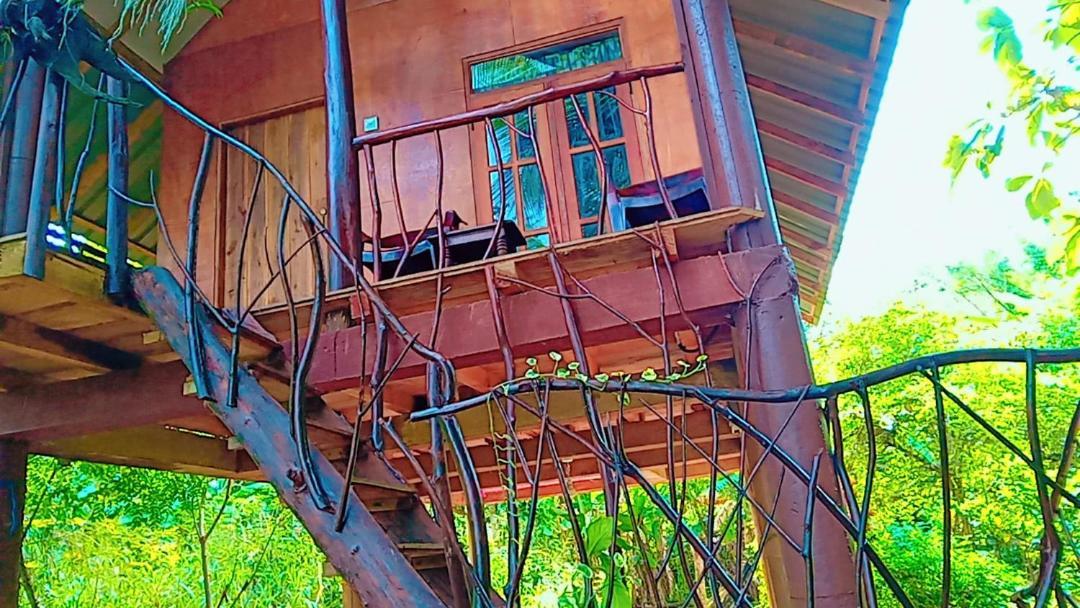 Sigiri Aliya Tree House Hotell Sigiriya Eksteriør bilde