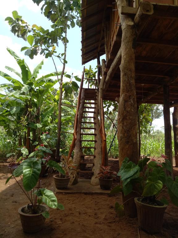Sigiri Aliya Tree House Hotell Sigiriya Eksteriør bilde