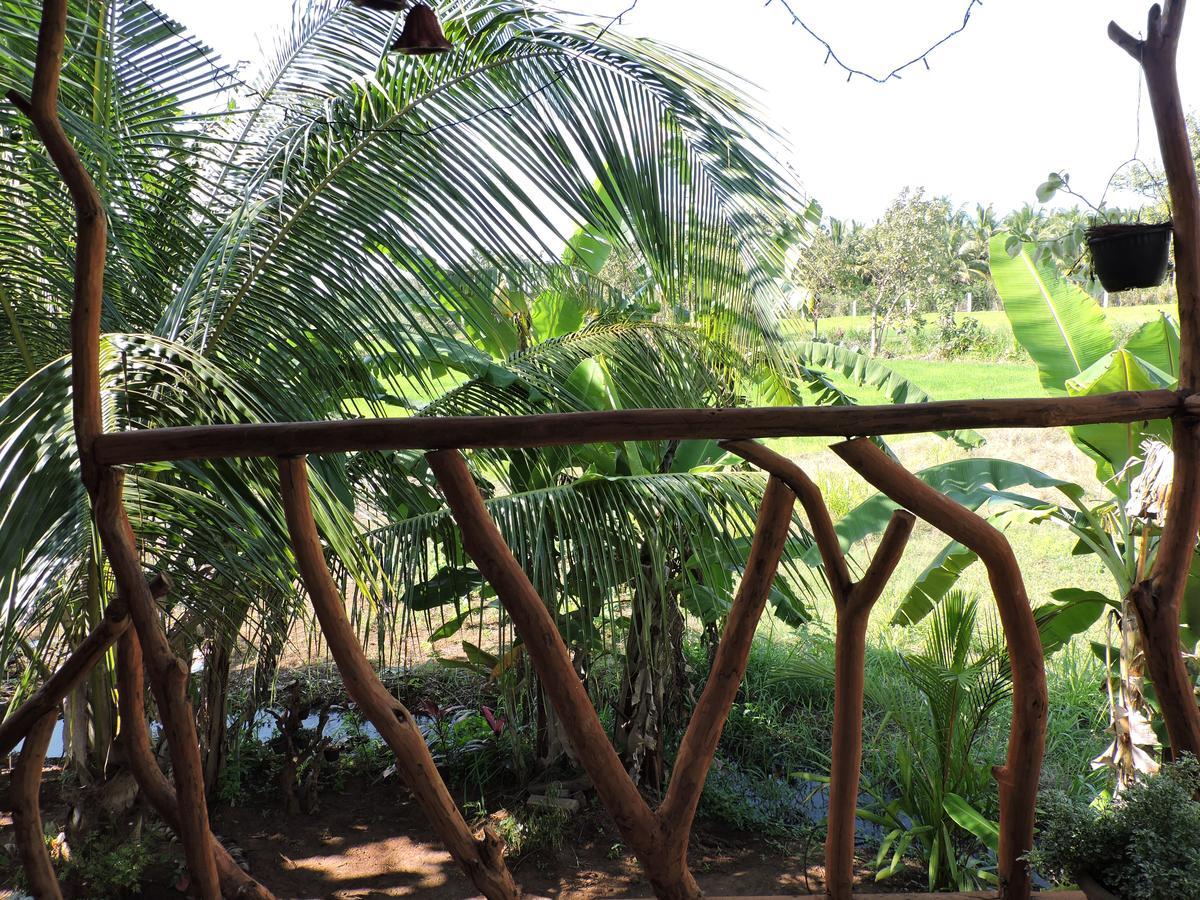 Sigiri Aliya Tree House Hotell Sigiriya Eksteriør bilde