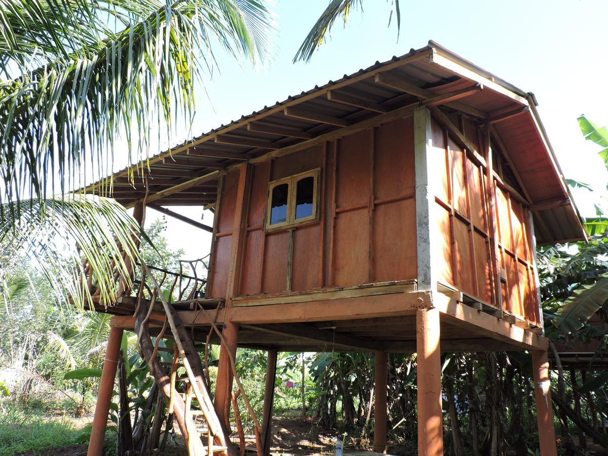 Sigiri Aliya Tree House Hotell Sigiriya Eksteriør bilde