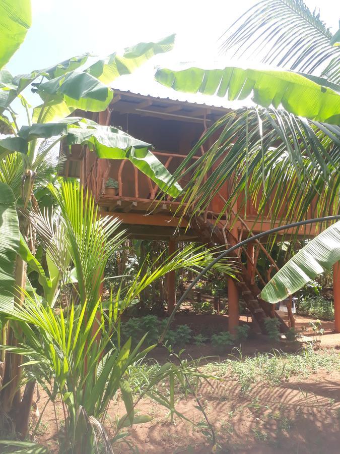 Sigiri Aliya Tree House Hotell Sigiriya Eksteriør bilde