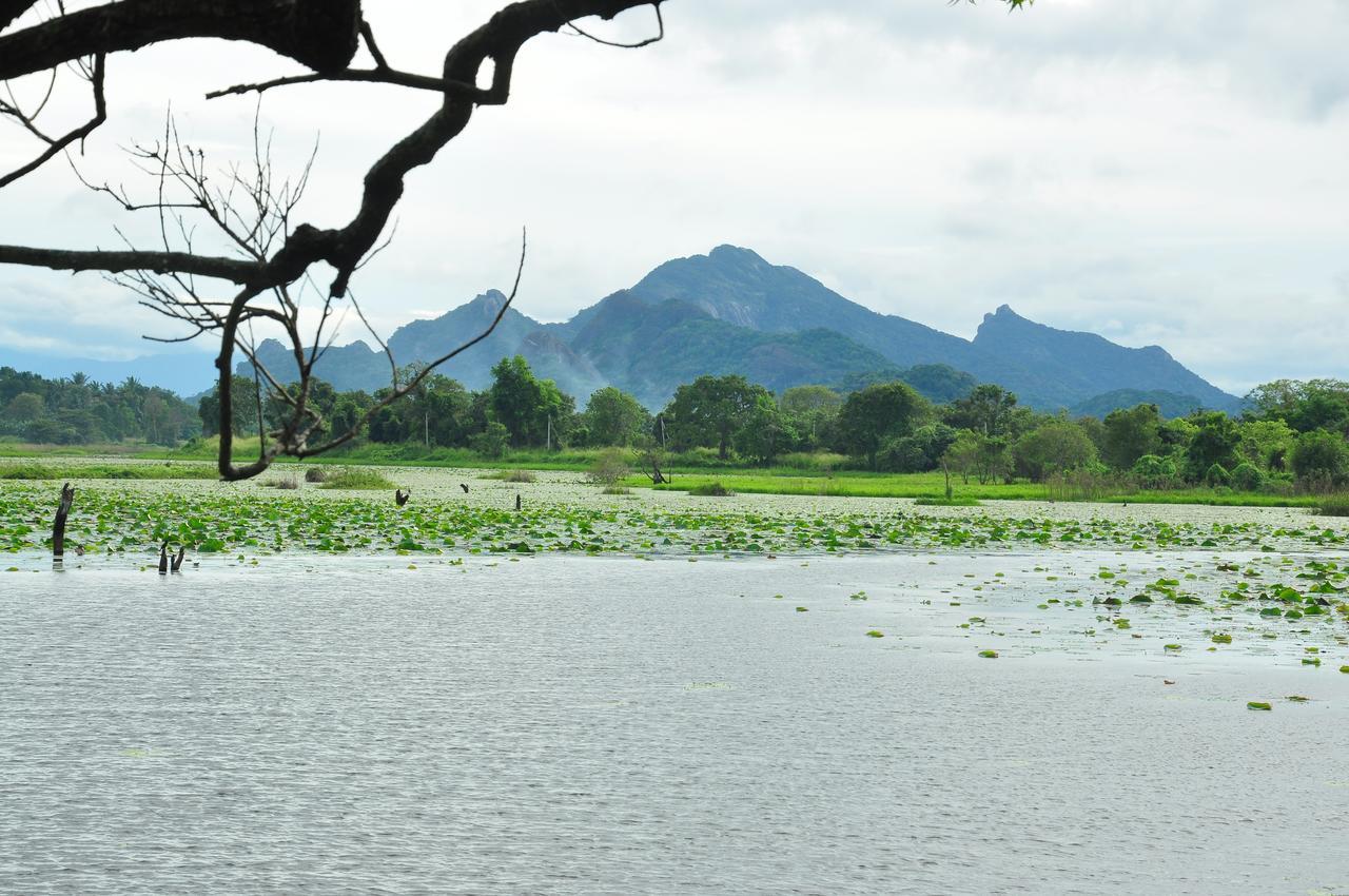 Sigiri Aliya Tree House Hotell Sigiriya Eksteriør bilde