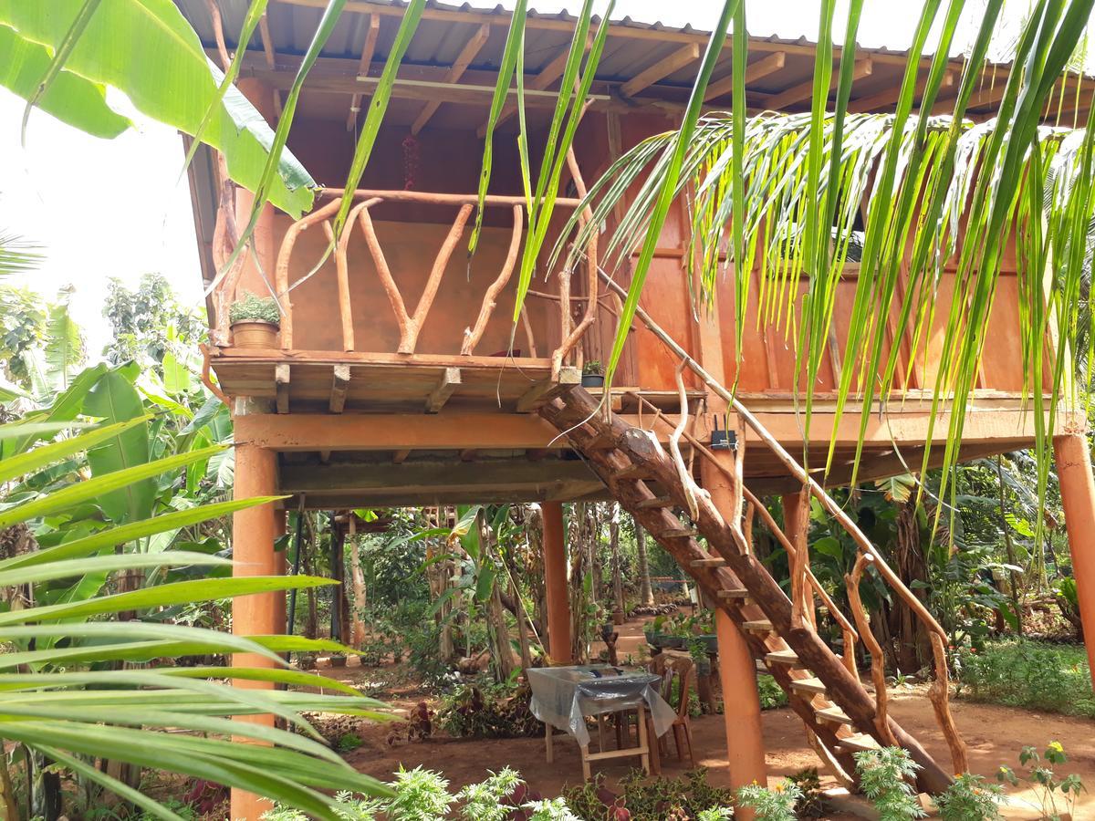 Sigiri Aliya Tree House Hotell Sigiriya Eksteriør bilde