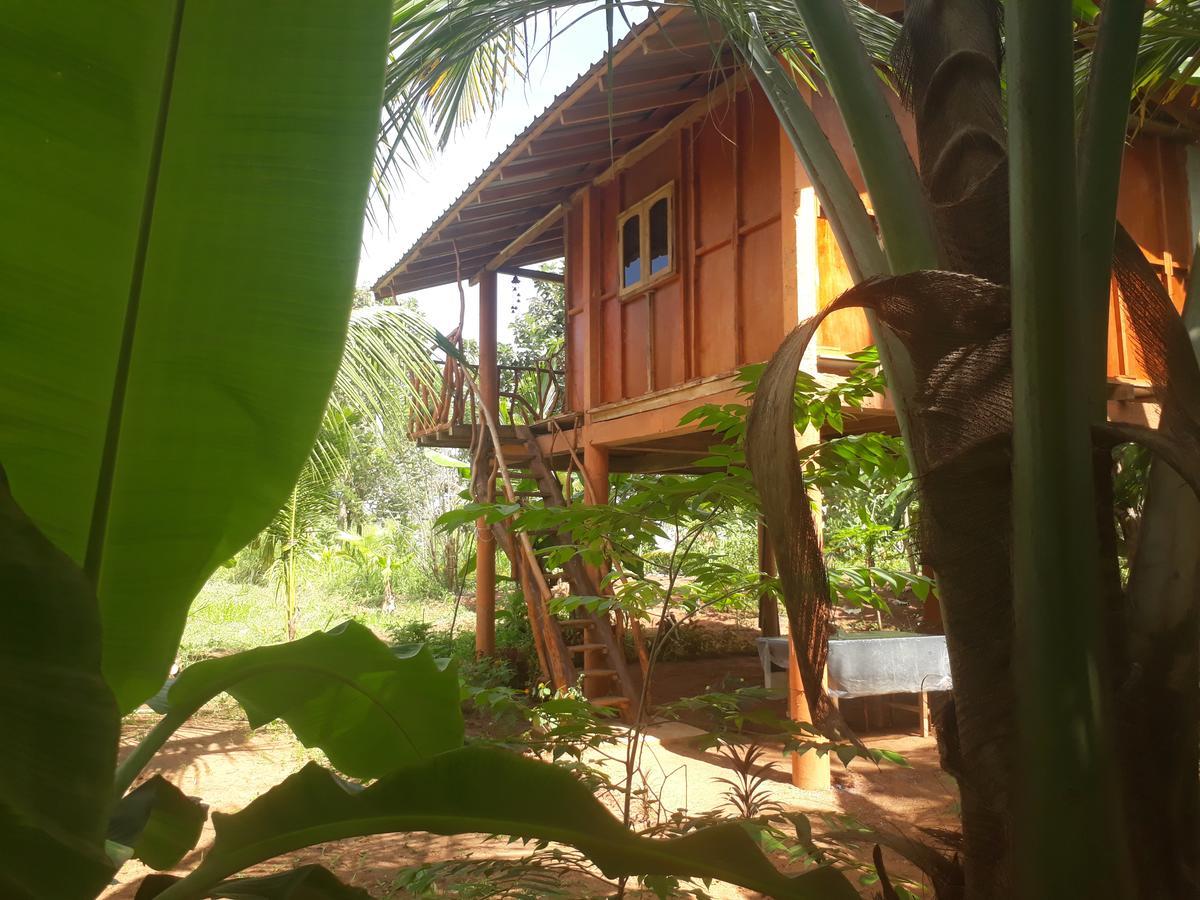 Sigiri Aliya Tree House Hotell Sigiriya Eksteriør bilde