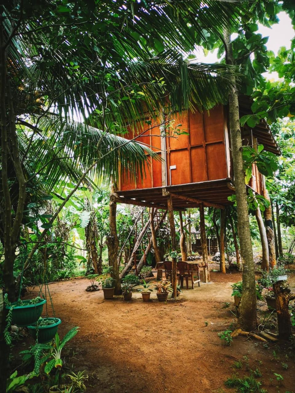 Sigiri Aliya Tree House Hotell Sigiriya Eksteriør bilde